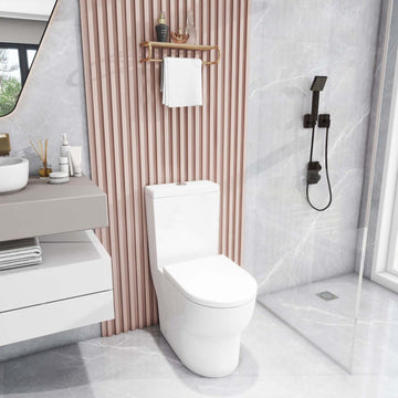 Bathroom Close Coupled Toilet Oval Bowl White Ceramic with UF Soft Close Seat